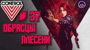 ОБРАСЦЫ ПЛЕСЕНИ ➽ CONTROL # 37