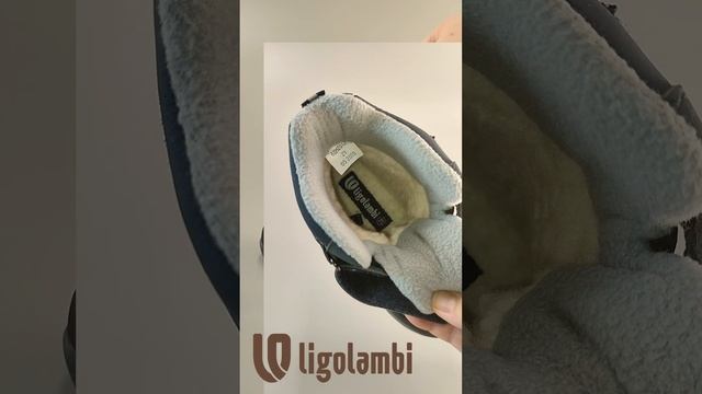 83-025_Ligolambi 63202012 (UT000015348) смотреть онлайн