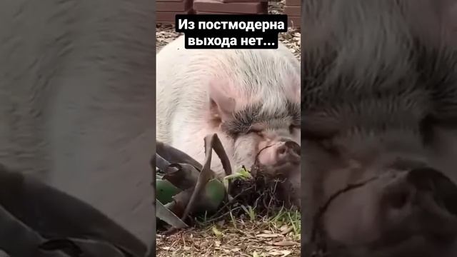 "Феноменология духа" Гегеля краткий конспект