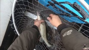 ОСЕННИЙ СУДАК/РЫБАЛКА С ЛОДКИ В ОТВЕС НА РАТЛИНЫ И ВИБЫ