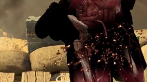 Testicle Shots in Sniper Elite Games