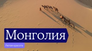 Монголия: степь, пустыня и буханка