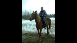 Да, я на коне!