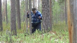 Октябрьская тайга #5 На безрыбье и ягода рыба
