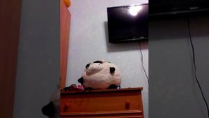 Меряю мамину и обувь