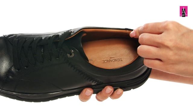 3587777 Видеообзор I Мужские кеды TENDANCE смотреть онлайн