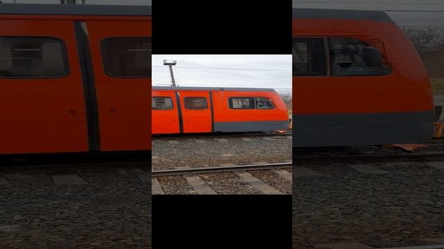 1000031482.mp431.10 2024г