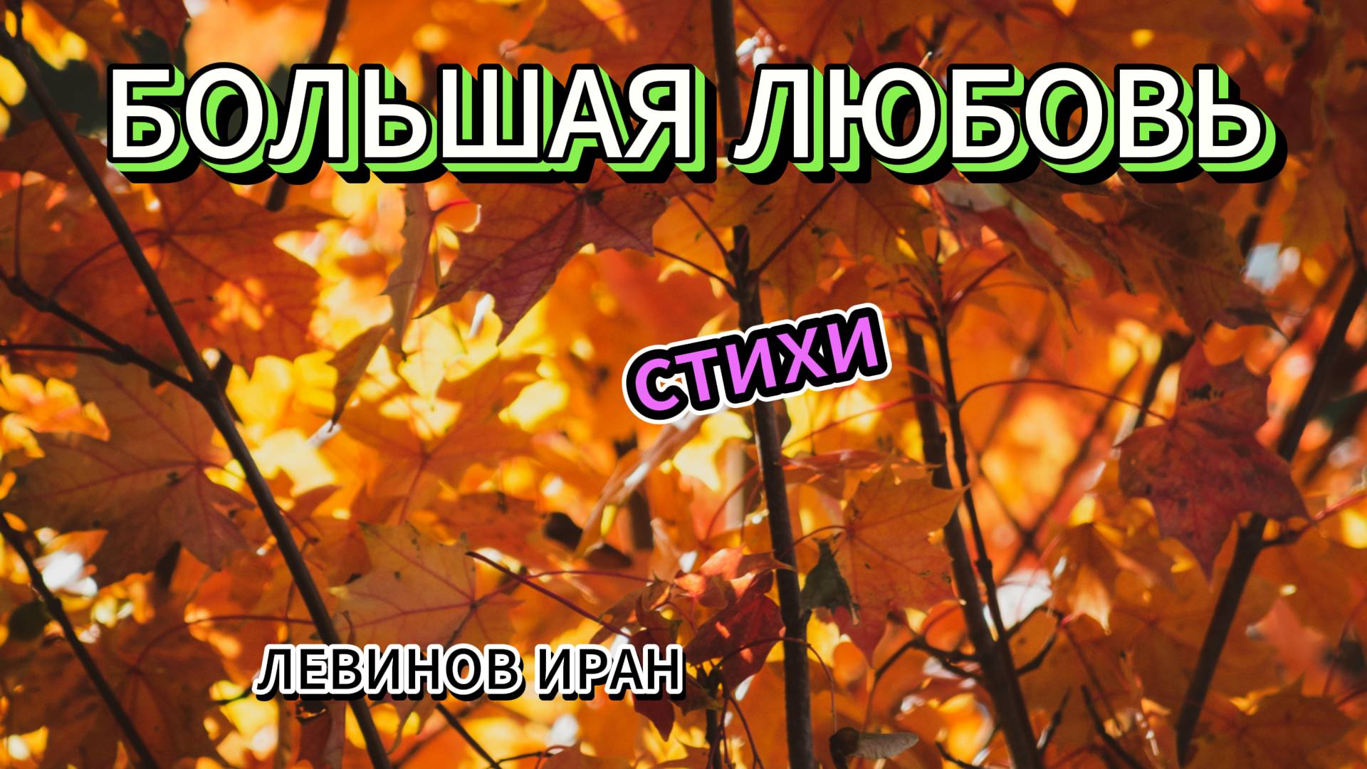 Большая любовь. О годовщине регистрации супружеской пары. Классная история. Стихи. Поэт Левинов Иран