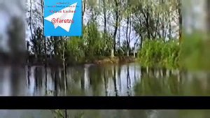 Дониёр Файз(Тошмухамедов)-Уйнагин(Ретро клип)
