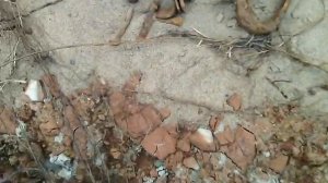 коп по дороге на старую  мельницу и на мельнице