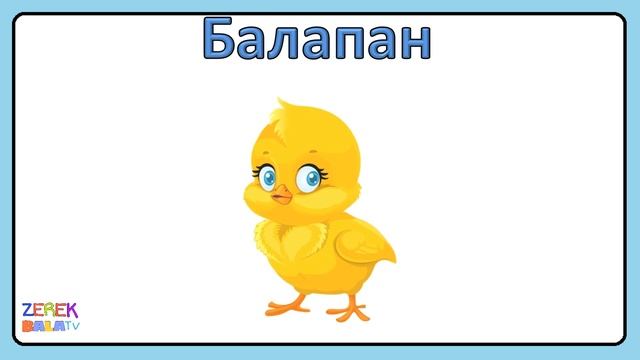 Үй жануарлары мен олардың төлдері балаларға 5 6 жас