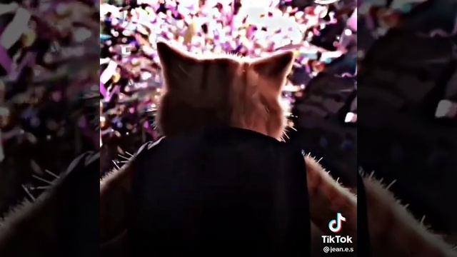 el lobo de los tipos malos o la muerte de gato con botas el último deseo 😎😈☠️ смотреть онлайн