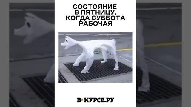 ВЕЧЕРНЕЕ ВЕСЕЛОЕ