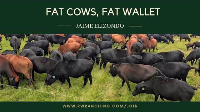 # 99 Ranching Made Simple смотреть онлайн