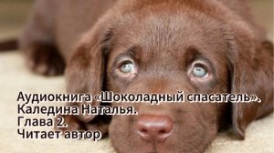 Аудиокнига «Шоколадный спасатель». Наталья Каледина Глава 2. Читает автор