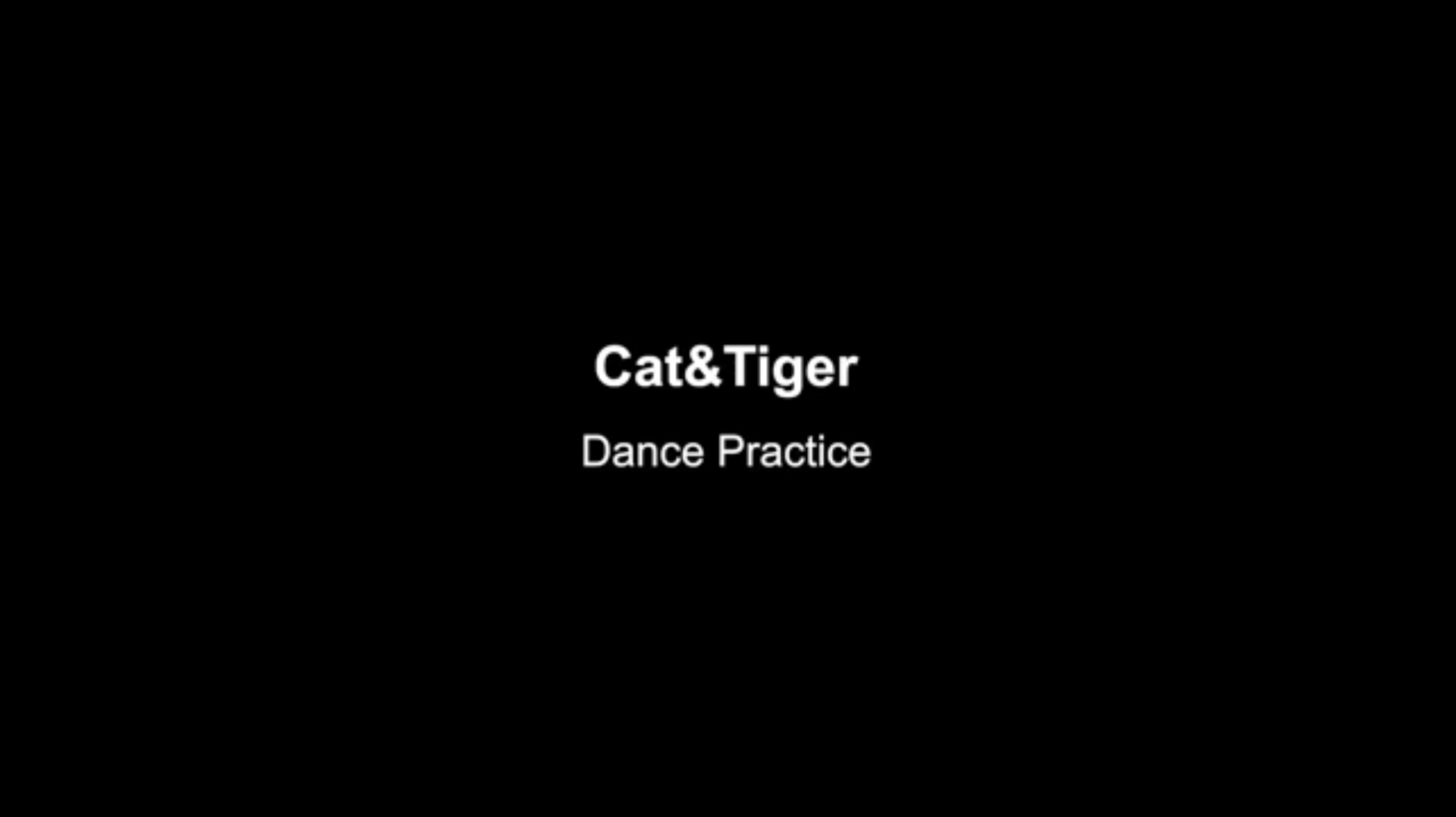 X:IN - Cat&Tiger dance practice mirrored