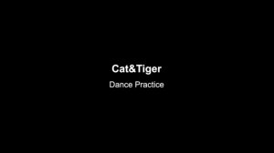 X:IN (엑신) - Cat&Tiger dance practice mirrored