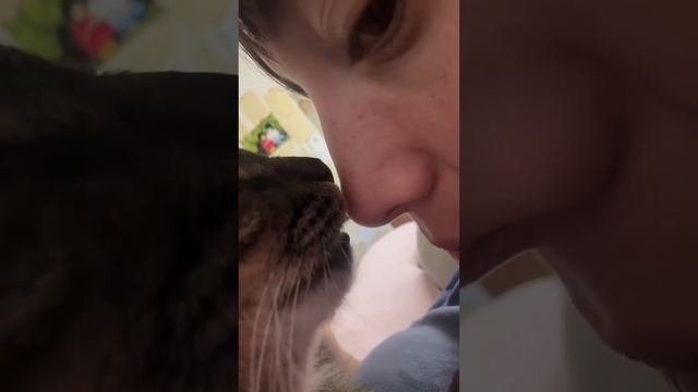 Братья меньшие