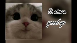 Бродяга-[speed up] #подпишись #врек #80подписчиков #музыка #бродяга