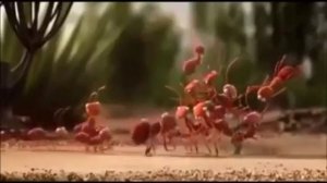 Что такое дружба?