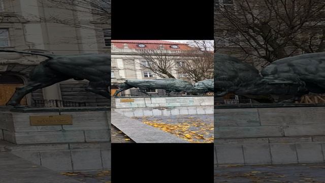 Скульптура «Борющиеся Зубры». Калининград . смотреть онлайн