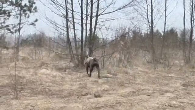 рыбалка весна