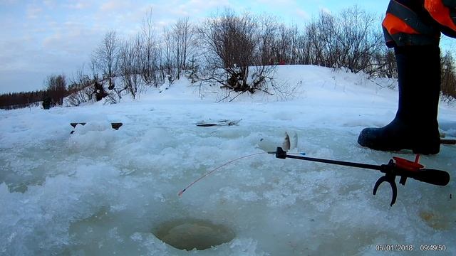 Рыбалка на реке Поинга 05.01.2018