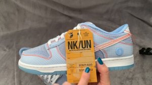 Nike Dunk Low Union Passport Pack Argon