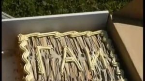 ГИБДД соц  реклама по БДД