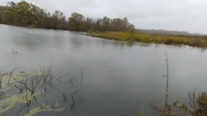 КАК КЛЮЁТ ЩУКА В ДОЖДЬ.PIKE BITE IN BAD WEATHER.