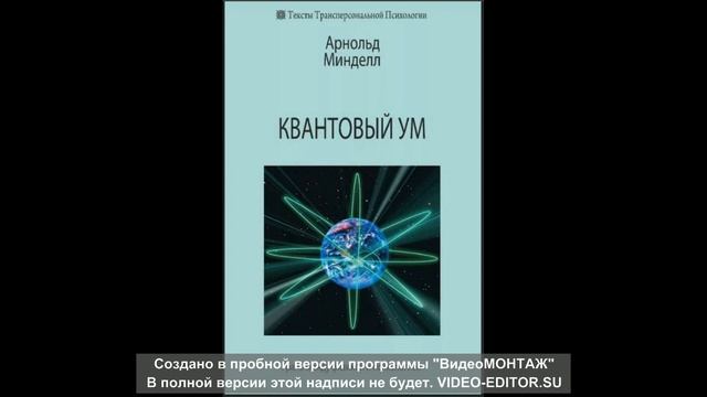 Квантовый ум. Минделл. часть2