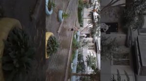 Дети в сапогах по лужам.