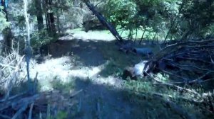 Трек ОФРП в Хатуни 2019