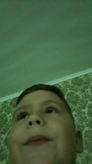 лукоморье дуб зелёный