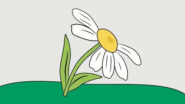 Викторина «Яблочко на тарелочке» смотреть онлайн