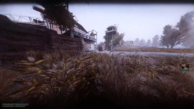 STALKER Anomaly: Mutants are getting tuff смотреть онлайн