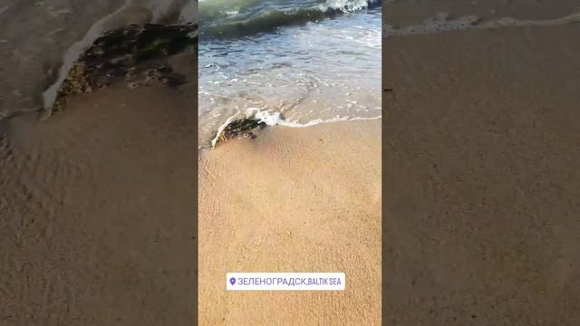 #балтийскоеморе#море#пляж#лето#