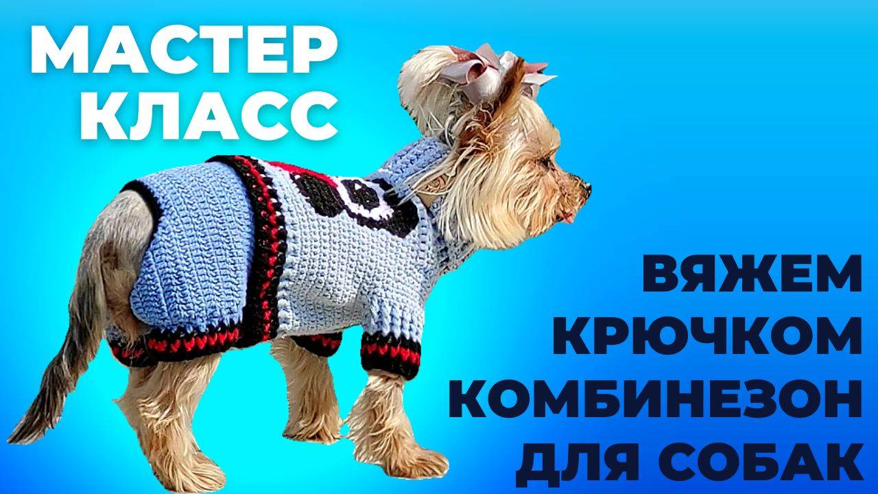 Вяжем штаны к комбинезону для собак крючком, Подробный мастер-класс смотреть онлайн