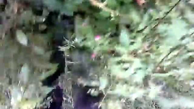 My SV. Pass through the flooded Bush in my Solognac SIBIR 300 NEO-rubber boots. смотреть онлайн