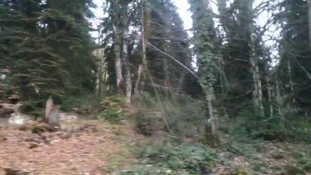 VID 20191217 151332 Абхазия. Фрагмент экскурсии.