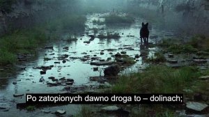 Jacek Kaczmarski - Stalker | Tekst