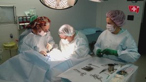 Детская урология. Лечение гиспопадии.