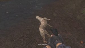 STALKER NLC 7➤v 3.7.5 ➤ прохождение часть ➤12#Поиск в кишке тайника от Шустрого и канистра бензина