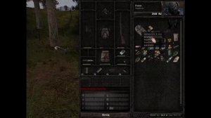 STALKER Anomaly - баги, первые миссии на Кордоне