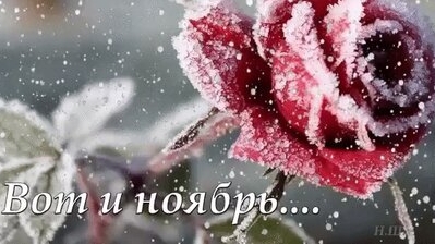 Наступил ноябрь!
