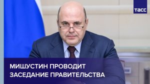 Мишустин проводит заседание правительства