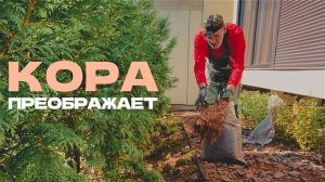 До и после. Как кора преобразила сад