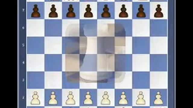 Шахматные монологи. Ладья