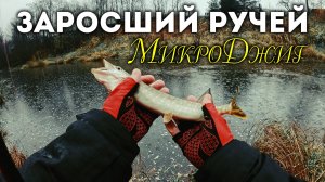 Экстрим на Рыбалке: Щука и Окунь под Дождем! 🚀🌧️#микроджиг  в Нелетную Погоду