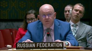 Statement by Permanent Representative Vassily Nebenzia at UNSC Briefing on Colombia